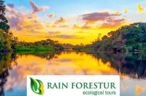 rainforestur-amazon-jungle-ecuador