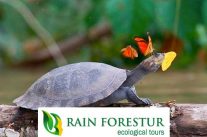 rainforestur-ecuador-adventure-travel