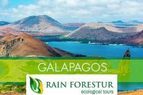 rainforestur-galapagos-travel-agency