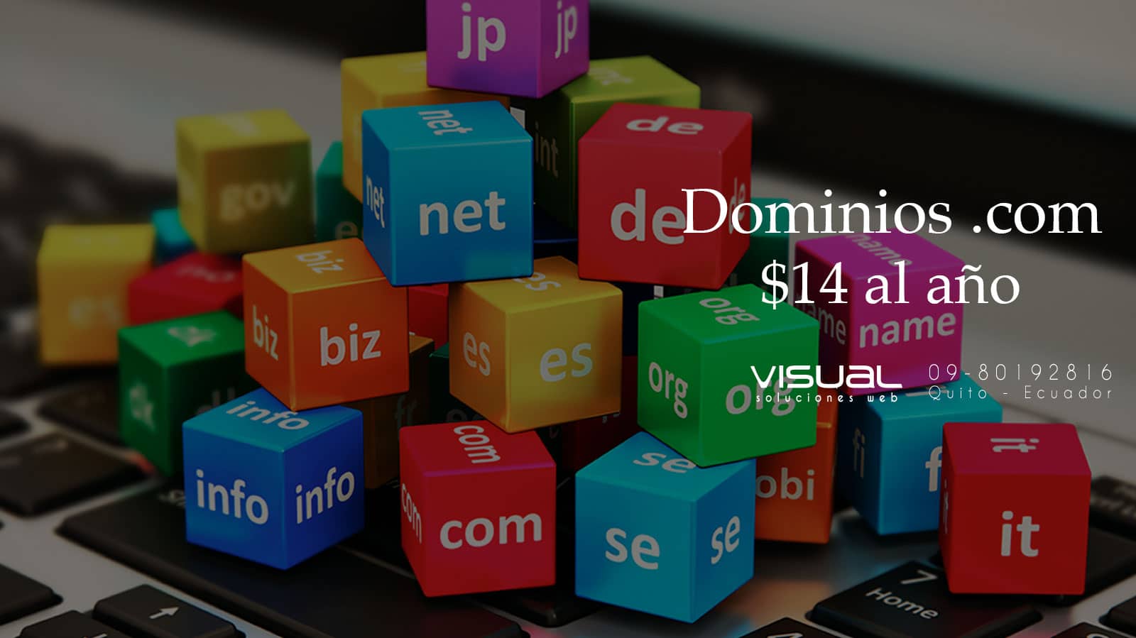 dominios-paginas-web-economicos-baratos-quito-ecuador