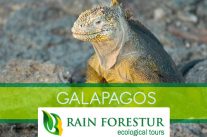 rainforestur-travel-agency-galapagos